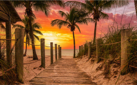 Home ADPTRAVEL 1080 X 1080 Px 85 E1758226754309