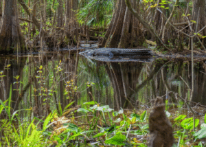 ADPTRAVEL 1080 X 1080 Px 93 E1758233124276 300x214