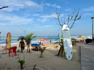 Gettyimages 2204240071 612x612 1 E1757972509634 300x225