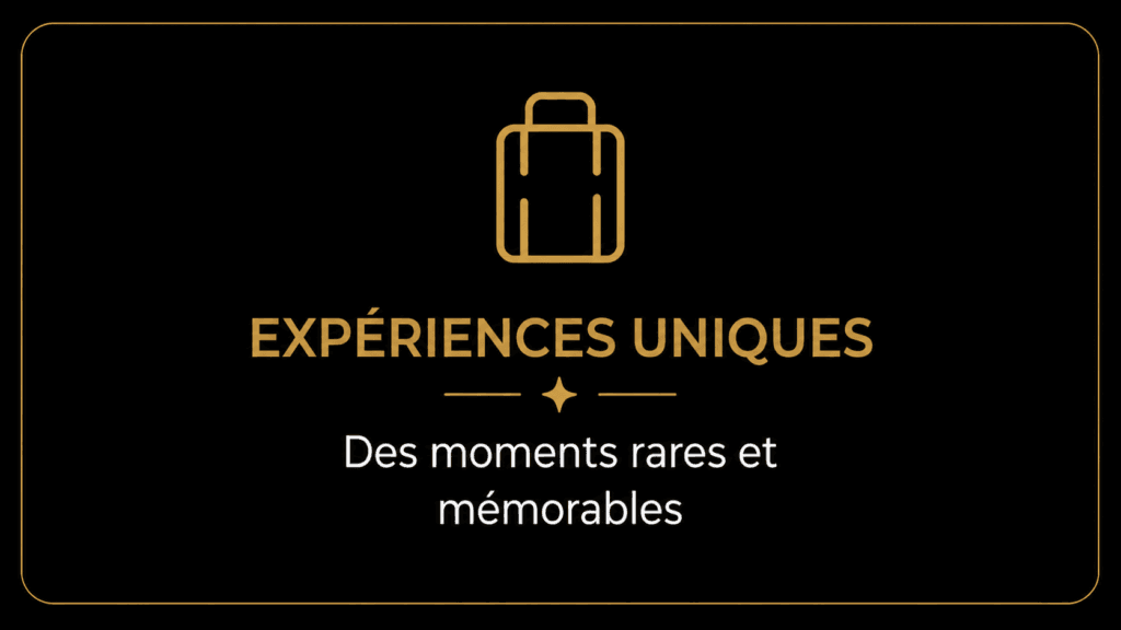Avec nos pack profité d'un programme détaillé rien que pour vous et des recommandations