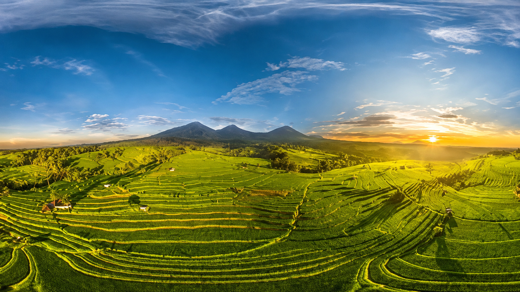 Rizières en terrasses de Jatiluwih à Bali