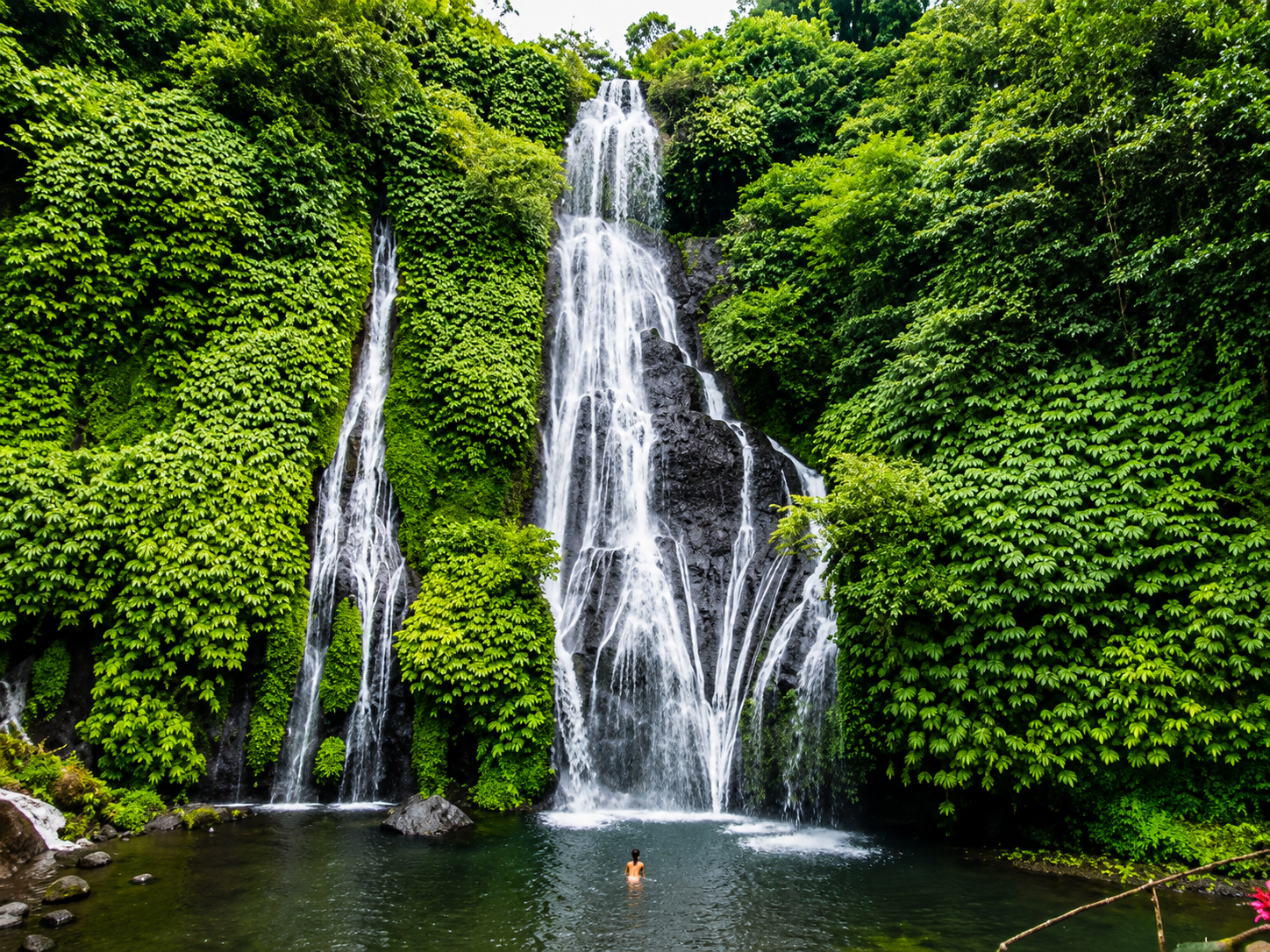 Cascade entourée de végétation dans la région de Munduk à Bali